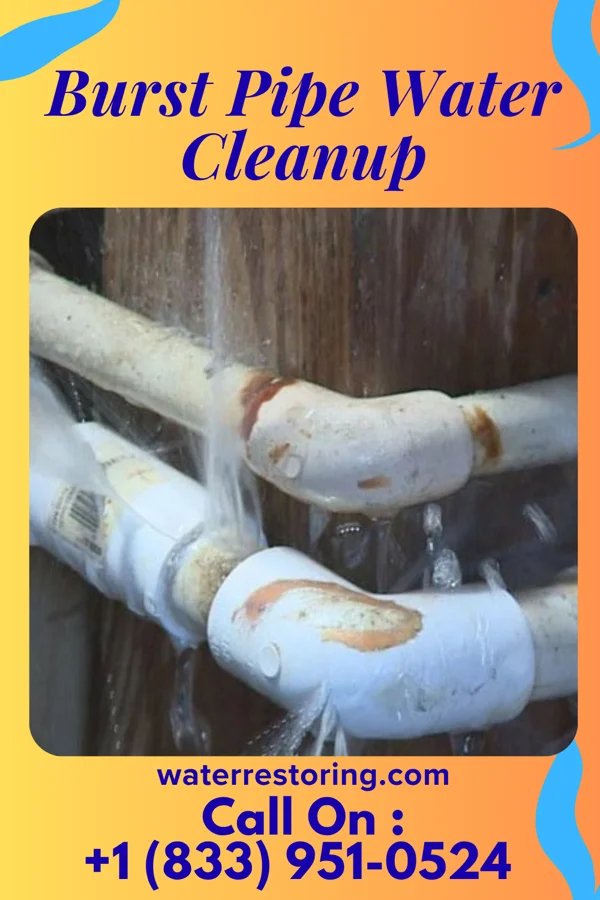 Burst Pipe Water Cleanup in Spring Hope, NC