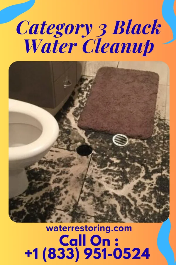 Category 3 Black Water Cleanup in Spring Hope, NC