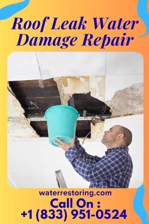 Roof Leak Water Damage Repair in Spring Hope, NC
