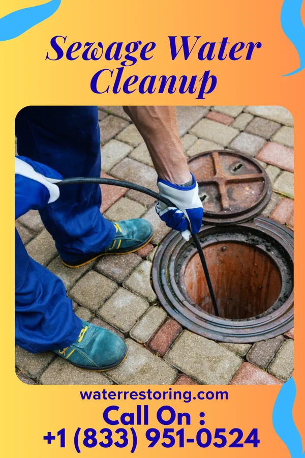 Sewage Water Cleanup in Spring Hope, NC